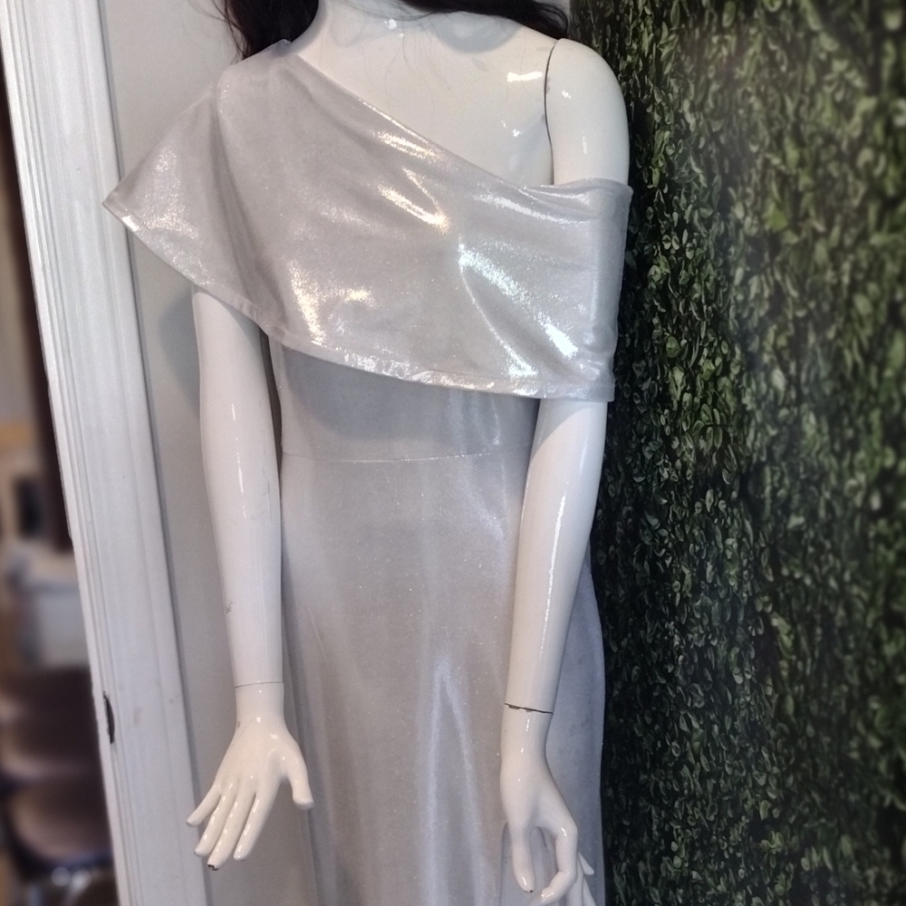 Silver gown